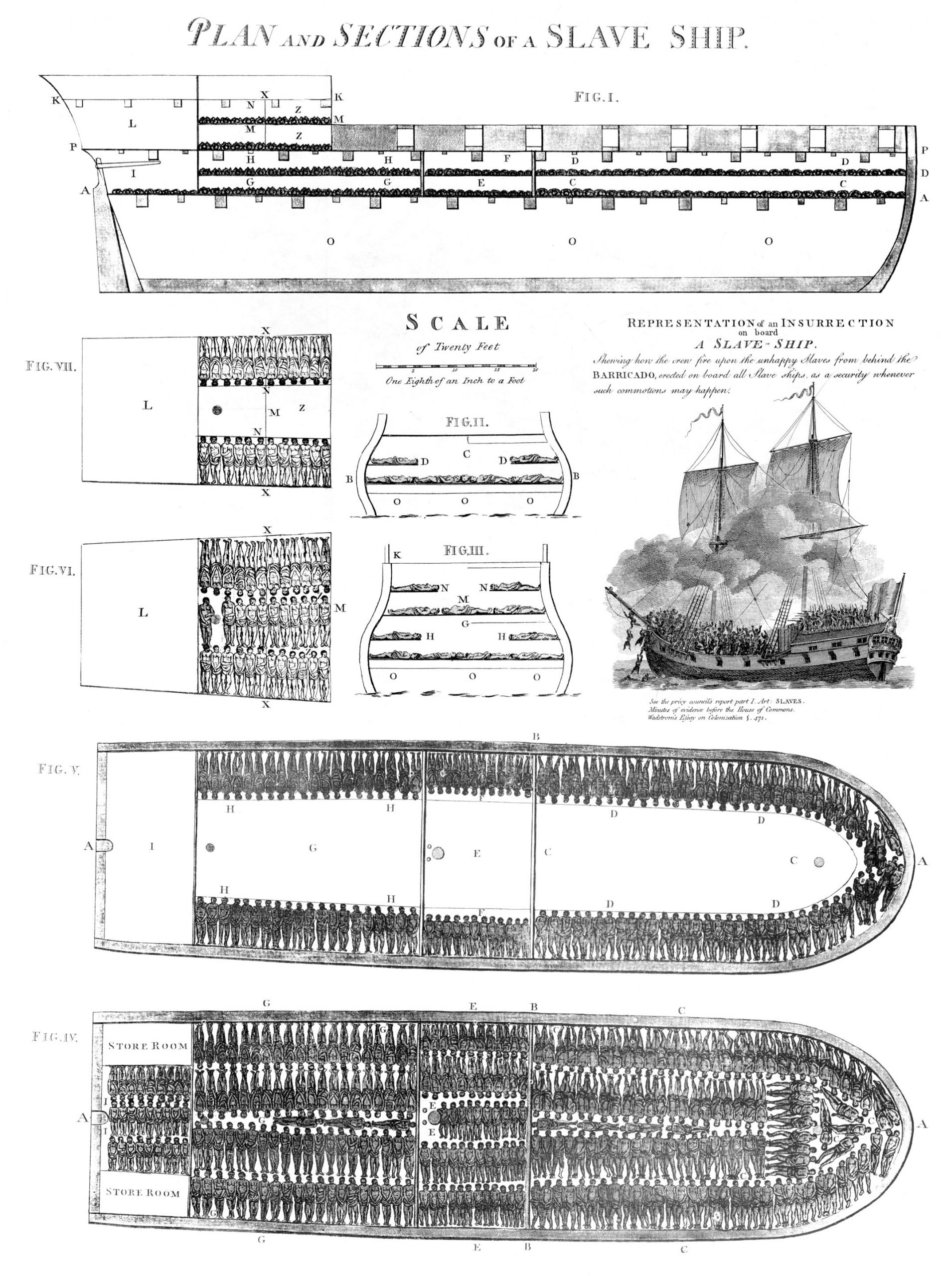 Negrier Plan d’un navire négrier britannique en 1789, Slavery images